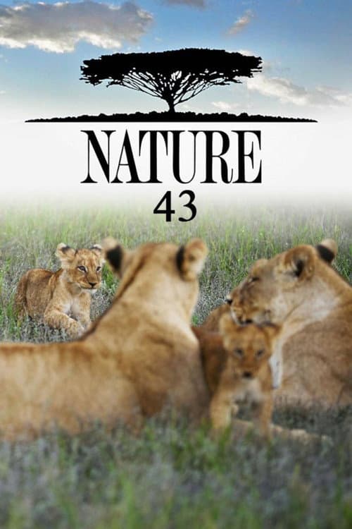 Season 43 poster