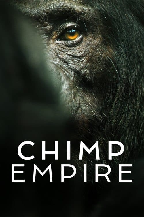 Limited Series poster