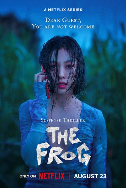 Limited Series poster