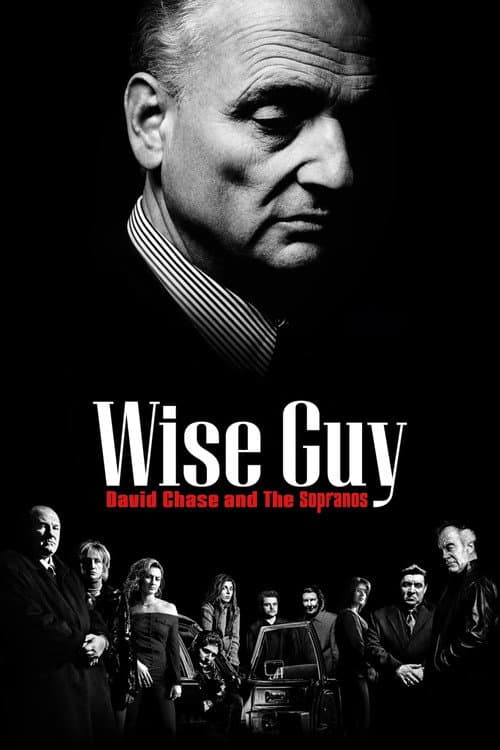 Miniseries poster