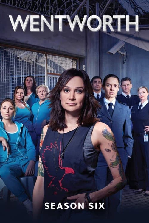 Season 6 poster