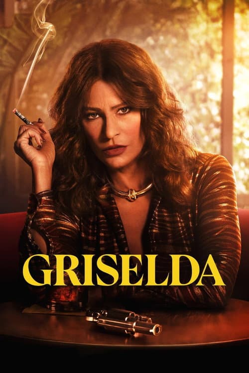 Limited Series poster