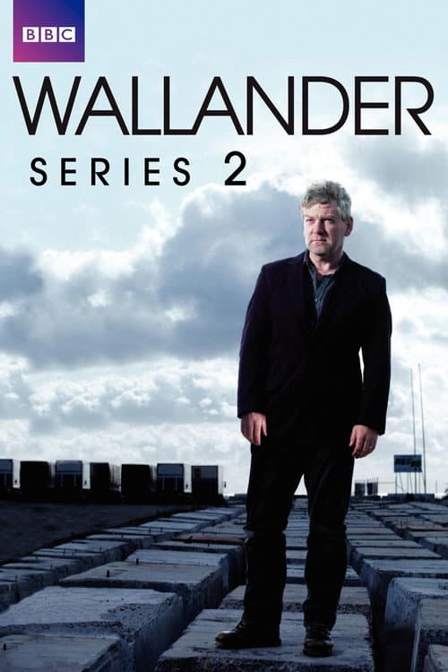 Series 2 poster