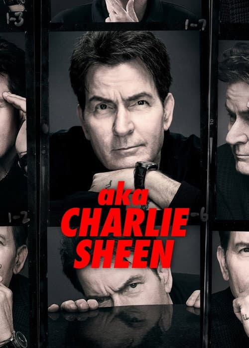 Miniseries poster