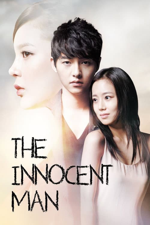 Limited Series poster