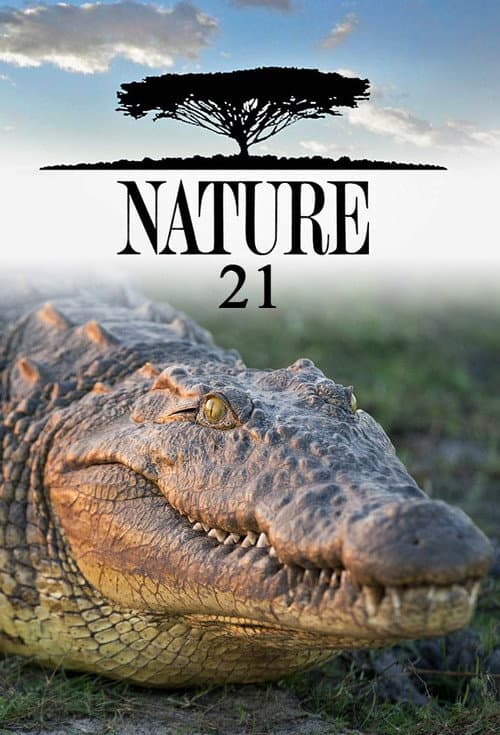Season 21 poster