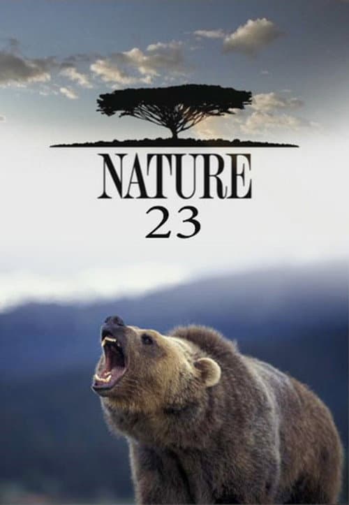 Season 23 poster