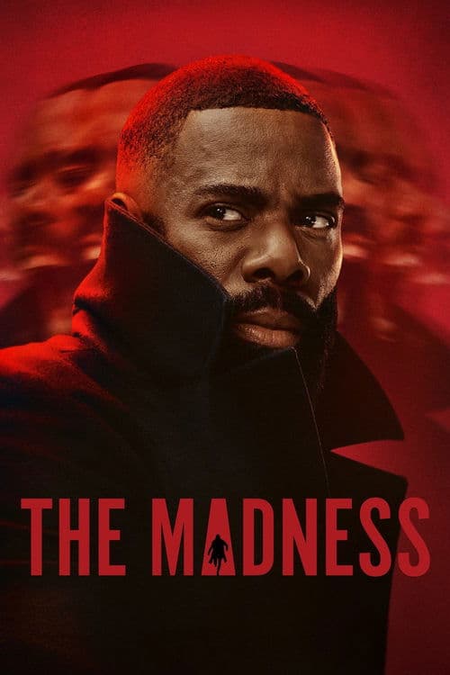 Limited Series poster