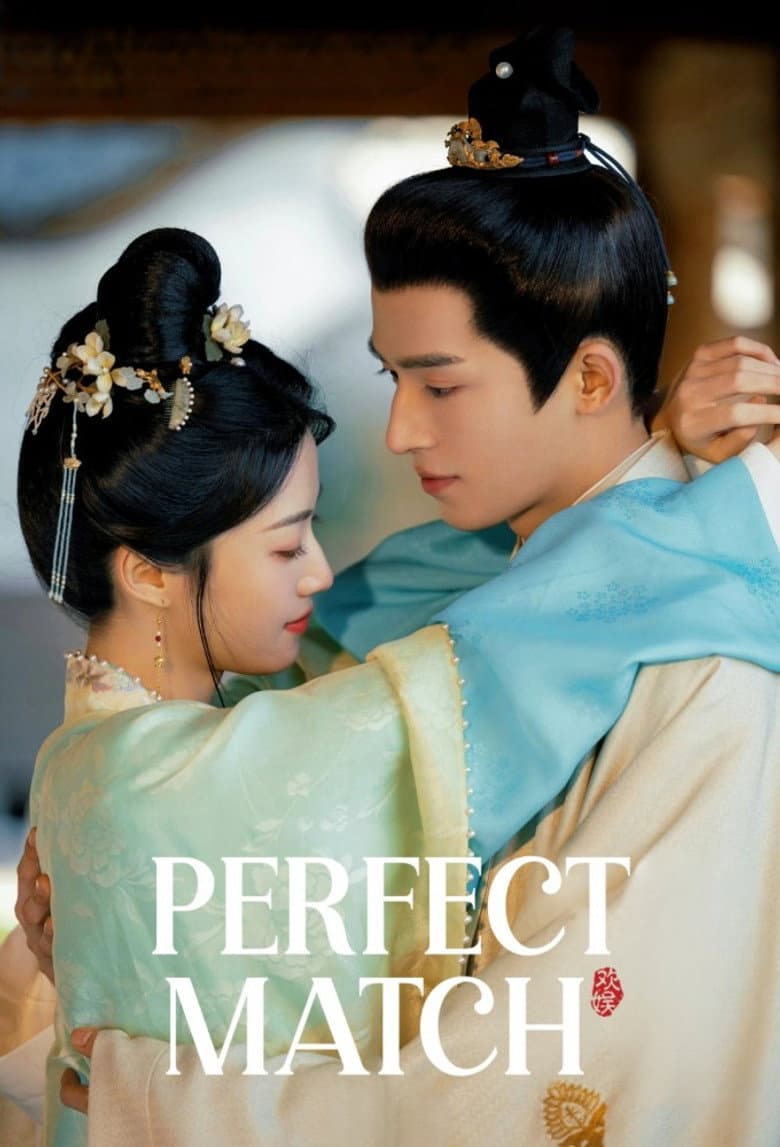 Perfect Match poster