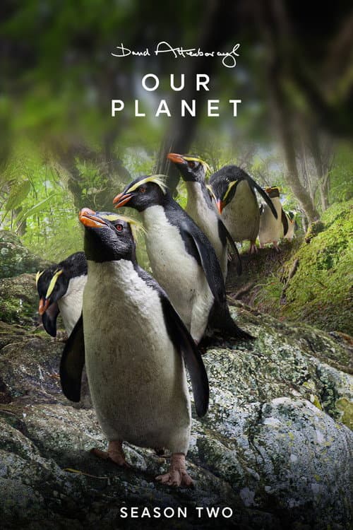 Our Planet II poster