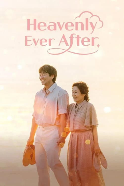 Limited Series poster
