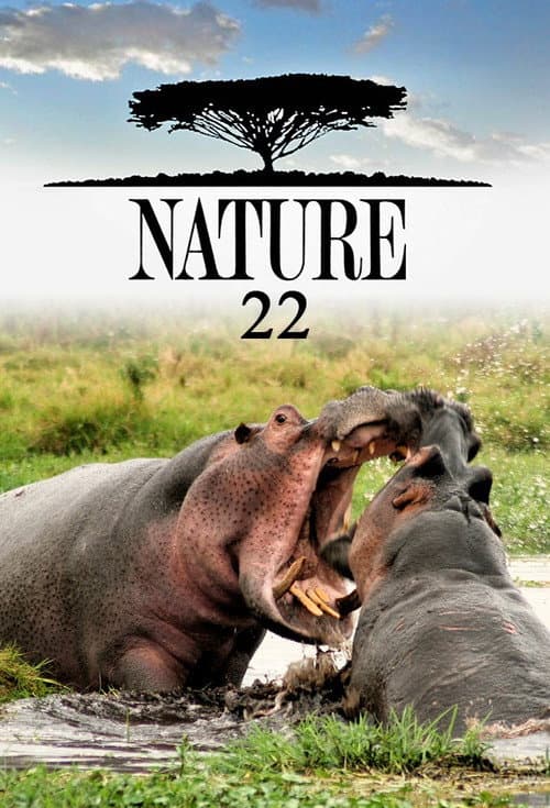 Season 22 poster