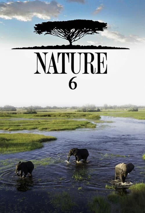 Season 6 poster