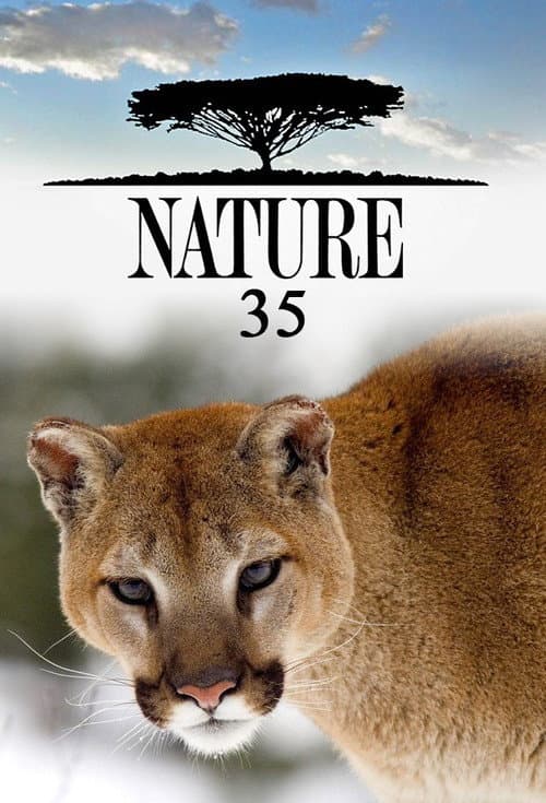 Season 35 poster
