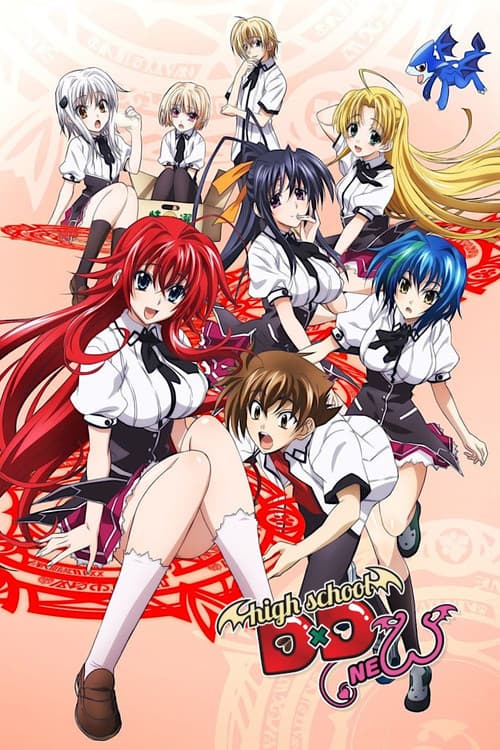 High School DxD New poster