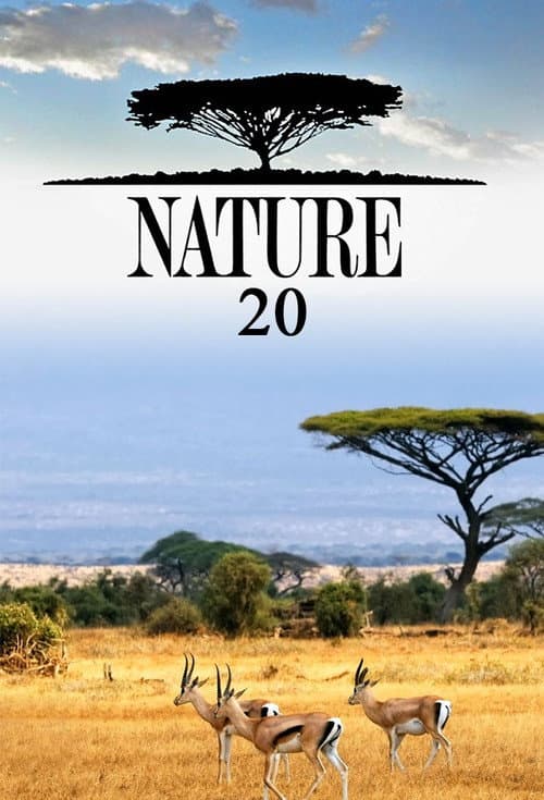 Season 20 poster