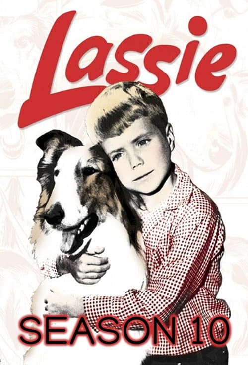 Season 10 poster