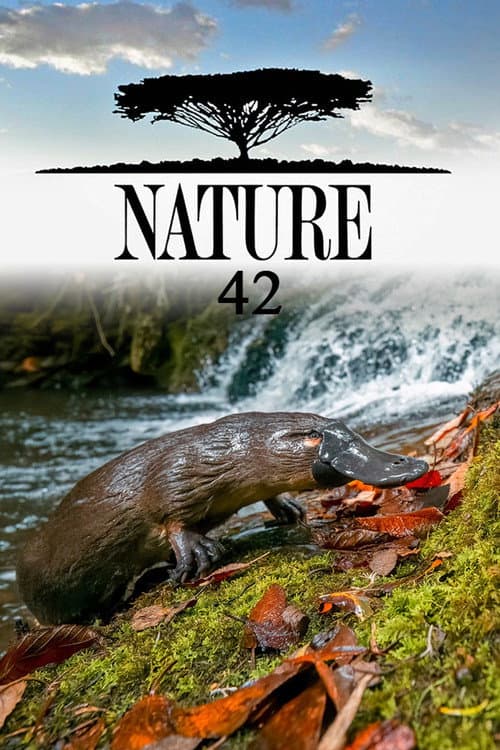 Season 42 poster