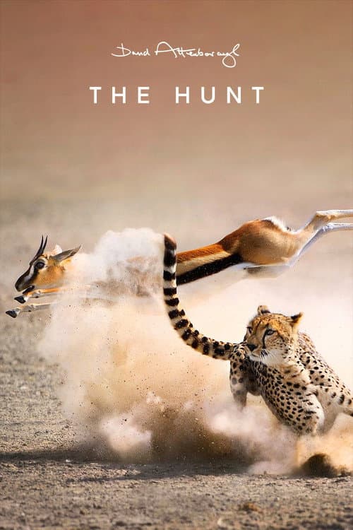 Miniseries poster