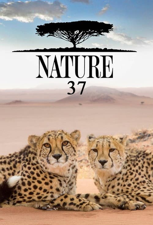 Season 37 poster