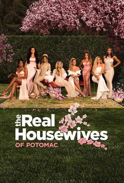 Season 8 poster
