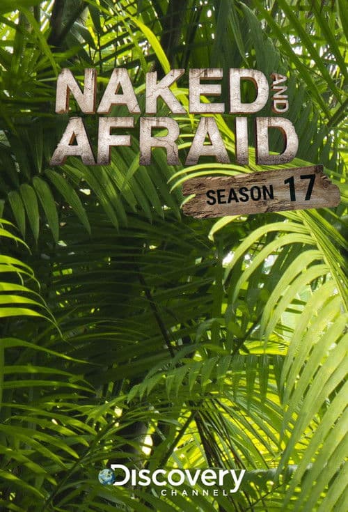 Season 17 poster