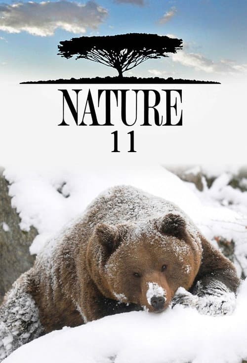 Season 11 poster