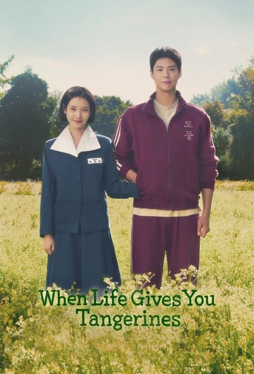 Limited Series poster