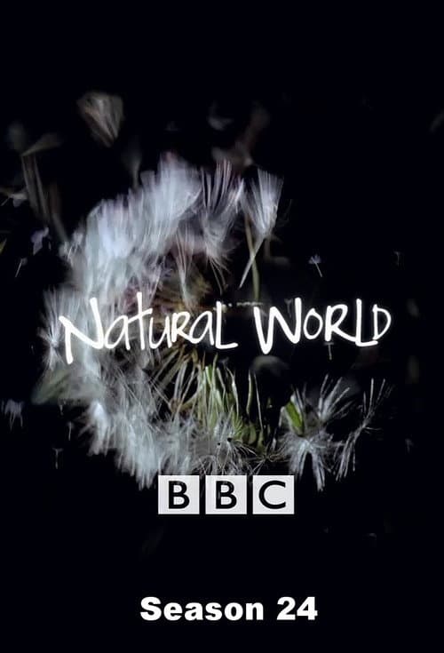 Season 24 poster