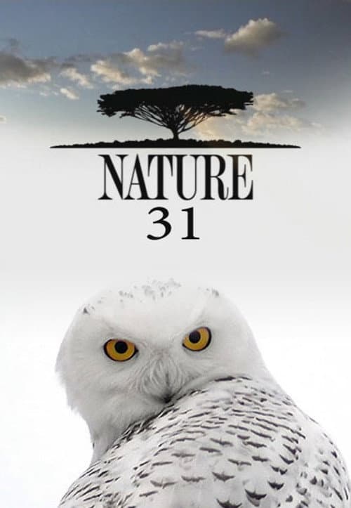 Season 31 poster