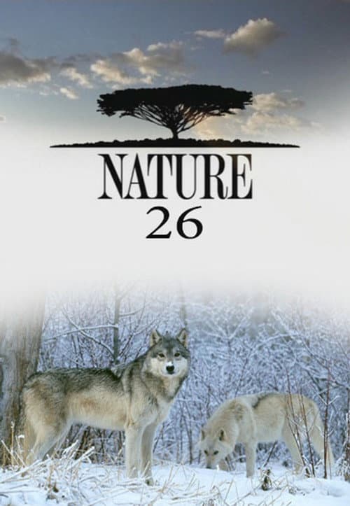 Season 26 poster