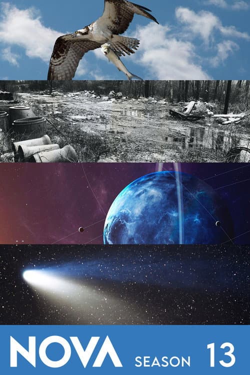 Season 13 poster