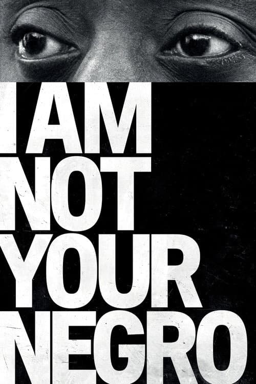 I Am Not Your Negro poster